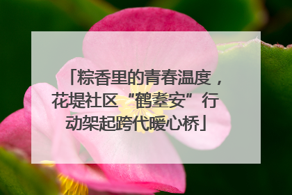 粽香里的青春温度，花堤社区“鹤耋安”行动架起跨代暖心桥
